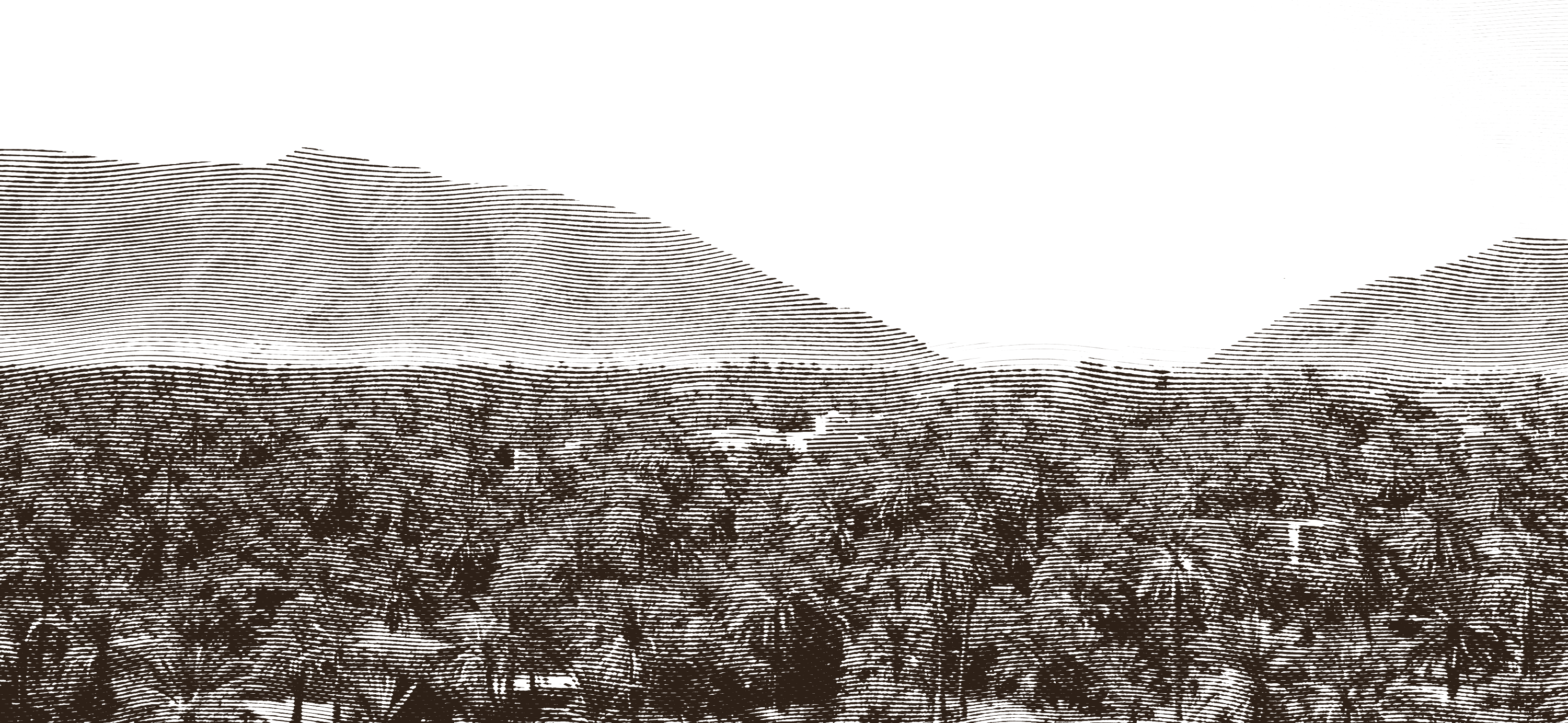 Gravure des montagnes et de la palmeraie de Figuig