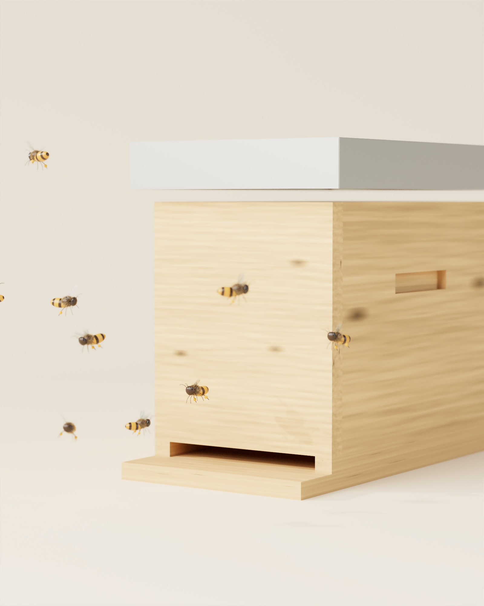 Colonies d’abeilles