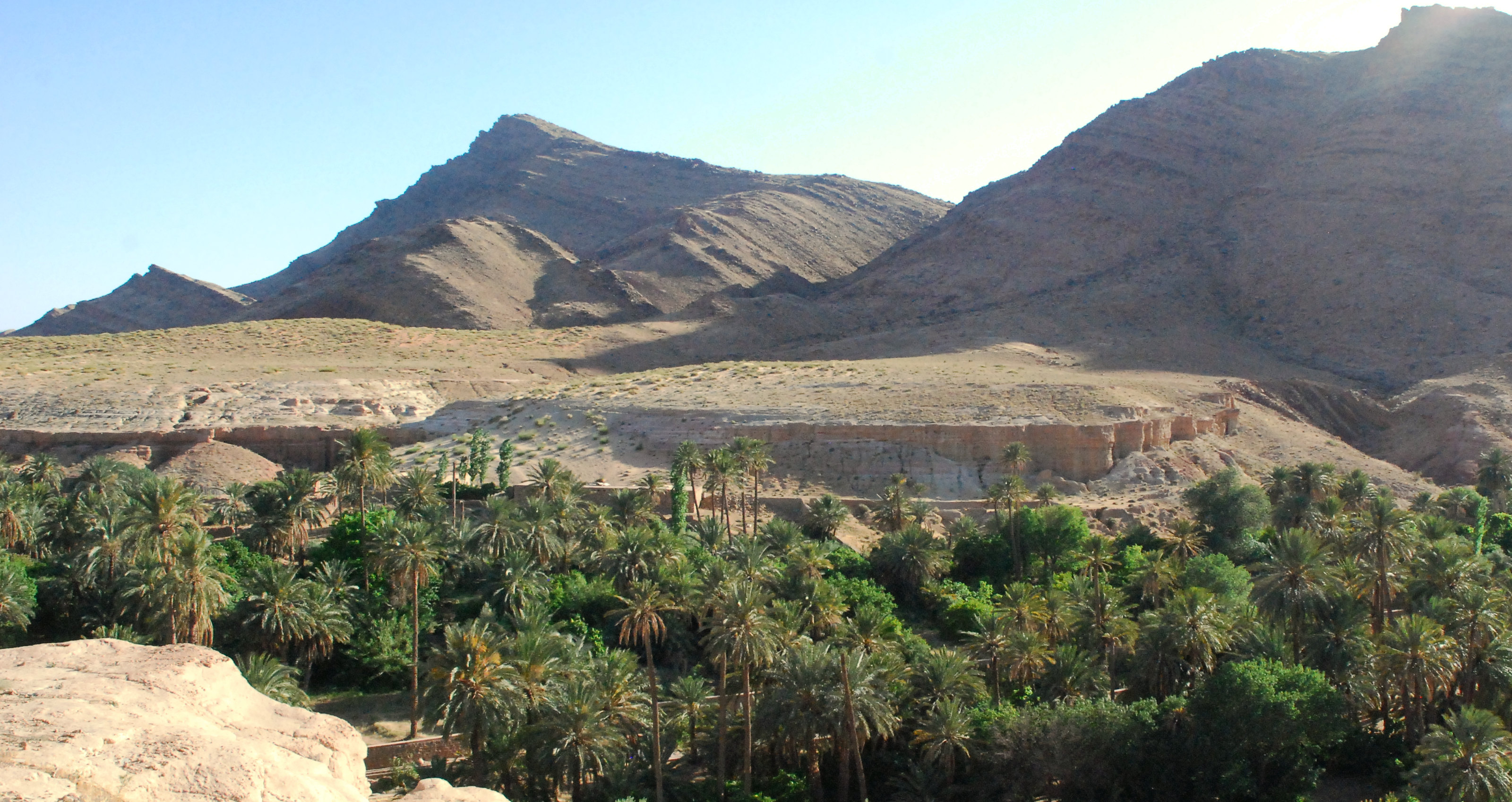 L’oasis d’Ich, ses palmiers et ses jardins au pied de la montagne